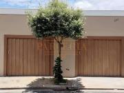 Casa / Sobrado para Venda em Araçatuba/SP Conjunto...