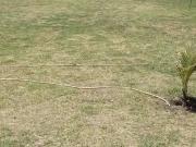 Casa / Sobrado para Venda em Araruama/RJ Areal 1 Quartos Casa / Sobrado para Venda em Araruama/RJ Areal 1 Quartos