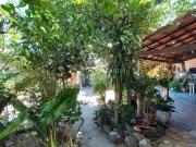 Casa / Sobrado para Venda em Araruama/RJ Parati 2 Quartos