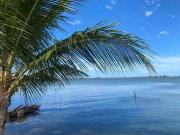 Casa / Sobrado para Venda em Araruama/RJ Praia do...