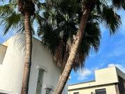 Casa / Sobrado para Venda em Barueri/SP Alphaville...