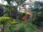 Casa / Sobrado para Venda em Belo Horizonte/MG...