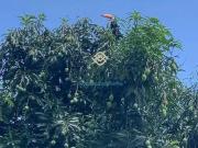 Casa / Sobrado para Venda em Belo Horizonte/MG...