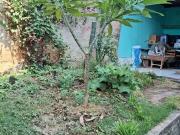 Casa / Sobrado para Venda em Belo Horizonte/MG Conjunto...