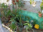Casa / Sobrado para Venda em Belo Horizonte/MG Esplanada...