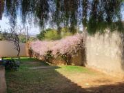 Casa / Sobrado para Venda em Belo Horizonte/MG Trevo 3...
