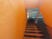 Casa / Sobrado para Venda em Betim/MG Conjunto...