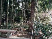 Casa / Sobrado para Venda em Caçapava/SP Vera Cruz 2 Quartos