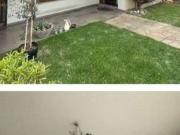 Casa / Sobrado para Venda em Cachoeirinha/RS Parque da...