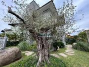 Casa / Sobrado para Venda em Cachoeirinha/RS Vale do Sol...