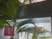 Casa / Sobrado para Venda em Camaçari/BA Arembepe...