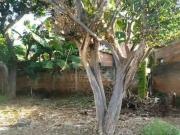 Casa / Sobrado para Venda em Campinas/SP Jardim São...