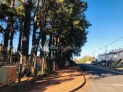 Casa / Sobrado para Venda em Campinas/SP Taquaral 6 Quartos