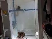 Casa / Sobrado para Venda em Campo Limpo Paulista/SP...