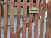 Casa / Sobrado para Venda em Caraguatatuba/SP Massaguaçu...