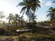 Casa / Sobrado para Venda em Conde/BA Sítio do Conde 3...