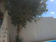 Casa / Sobrado para Venda em Contagem/MG Riacho das...