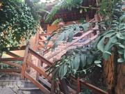 Casa / Sobrado para Venda em Contagem/MG Vera Cruz 5 Quartos