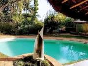 Casa / Sobrado para Venda em Cotia/SP Granja Viana 4 Quartos