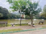 Casa / Sobrado para Venda em Cotia/SP Jardim Atalaia 2...