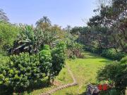 Casa / Sobrado para Venda em Cotia/SP Vila Santo Antônio...