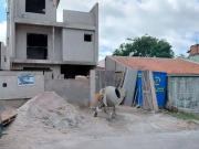 Casa / Sobrado para Venda em Curitiba/PR Fazendinha 3...