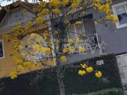 Casa / Sobrado para Venda em Curitiba/PR Jardim Social 2...