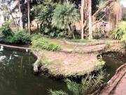 Casa / Sobrado para Venda em Curitiba/PR São Braz 3 Quartos