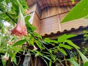 Casa / Sobrado para Venda em Curitiba/PR Tarumã 3 Quartos