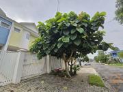 Casa / Sobrado para Venda em Curitiba/PR Xaxim 3 Quartos