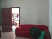 Casa / Sobrado para Venda em Duque de Caxias/RJ Parque...