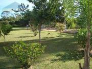 Casa / Sobrado para Venda em Florianópolis/SC Cachoeira...