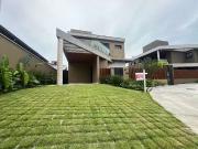 Casa / Sobrado para Venda em Florianópolis/SC Campeche 4...