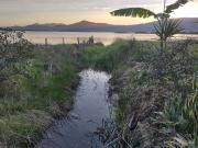 Casa / Sobrado para Venda em Garopaba/SC Praia da...