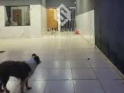 Casa / Sobrado para Venda em Goiânia/GO Jardim Clarissa...