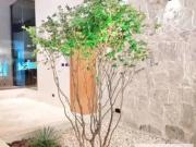 Casa / Sobrado para Venda em Goiânia/GO Residencial...