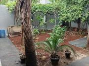 Casa / Sobrado para Venda em Goiânia/GO Setor Estrela...