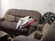 Casa / Sobrado para Venda em Guarulhos/SP Jardim Moreira...