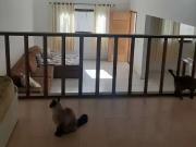 Casa / Sobrado para Venda em Guarulhos/SP Parque...