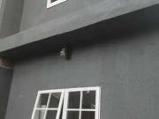 Casa / Sobrado para Venda em Guarulhos/SP Vila Nova...