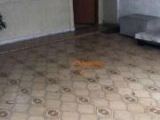 Casa / Sobrado para Venda em Guarulhos/SP Vila Rosália 3...