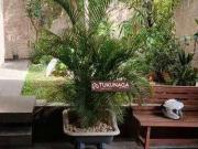 Casa / Sobrado para Venda em Guarulhos/SP Vila São Judas...