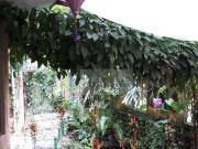 Casa / Sobrado para Venda em Ilhabela/SP Feiticeira 4...