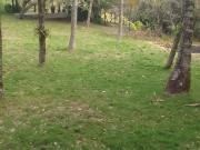 Casa / Sobrado para Venda em Itaboraí/RJ São José Cabuçu...