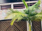 Casa / Sobrado para Venda em Itanhaém/SP Suarão 2 Quartos