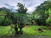 Casa / Sobrado para Venda em Joinville/SC São Marcos 3...