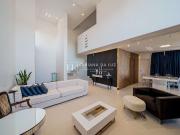 Casa / Sobrado para Venda em Joinville/SC Saguaçu 3 Quartos