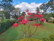 Casa / Sobrado para Venda em Lagoa Santa/MG Condados da...