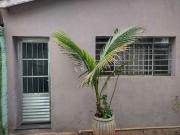 Casa / Sobrado para Venda em Limeira/SP Vila Castelar 3...