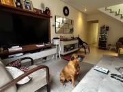 Casa / Sobrado para Venda em Mauá/SP Vila Emílio 3 Quartos